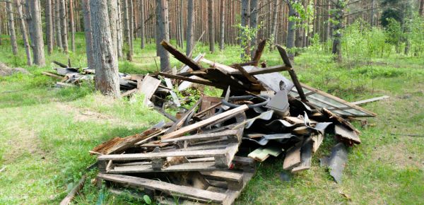 Debris Removal Service in Redford